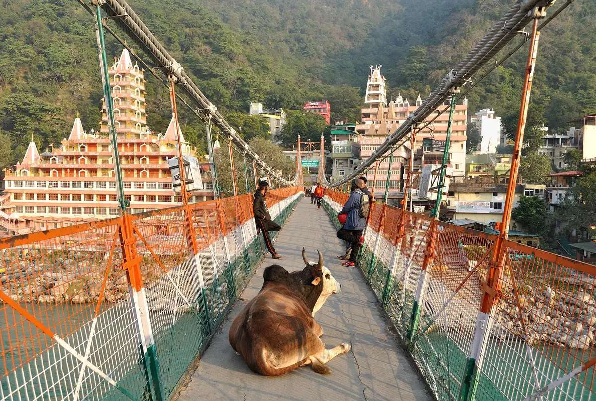 Laxman Jhula, Rishikesh (illustrative stock photo, not our own)